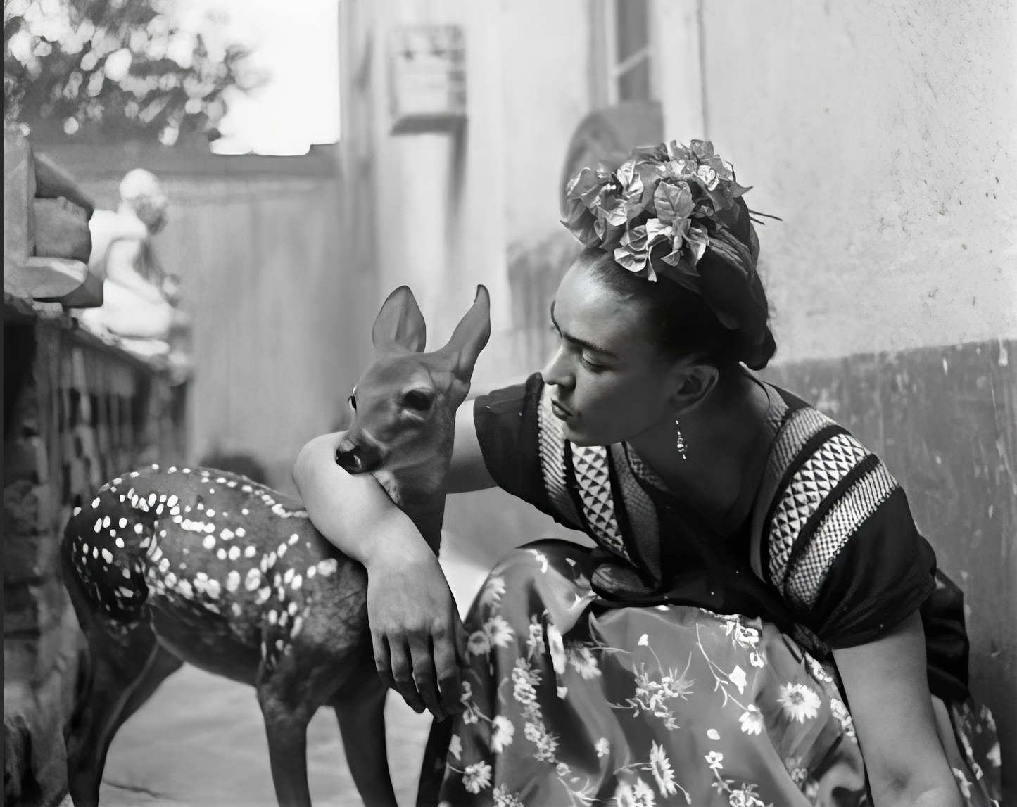 Foto, Frida och rådjuret