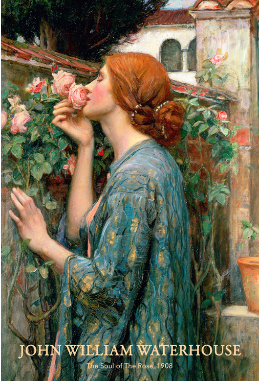 The soul of the rose